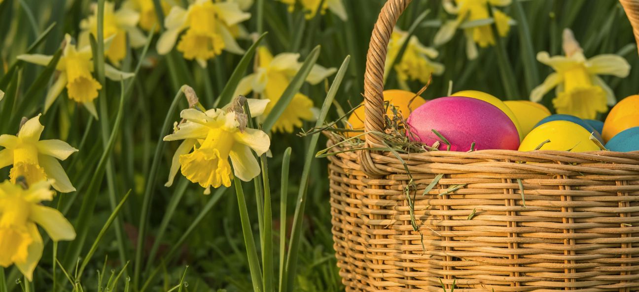Imagem da notícia Tolerância de ponto nos serviços do IEFP