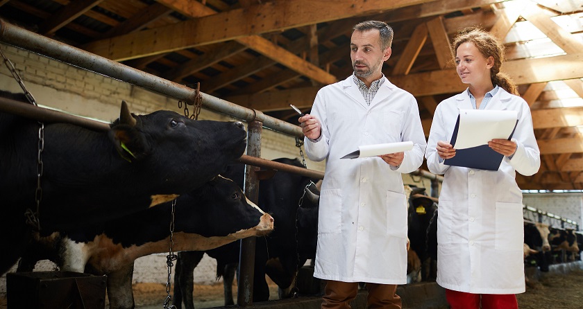 Imagem ilustrativa - 20 de junho Webinar "Veterinarians for the Netherlands"