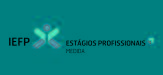 Medida Estágios Profissionais