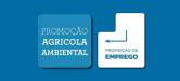 Câmara Municipal de Cascais desenvolve Programa de Promoção Agrícola e Ambiental no âmbito do Acordo de Cooperação com o IEFP