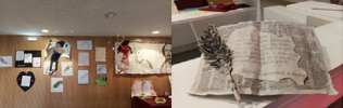 Celebração do Dia Mundial da Poesia no Centro de Emprego e Formação Profissional de Coimbra