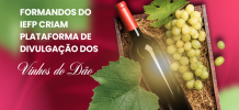Formandos do IEFP criam plataforma de divulgação dos vinhos do Dão
