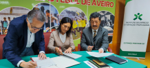 IEFP e AFA qualificam no futebol