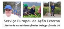 Webinar CIEJD/EURES “Recrutamento de Chefes de Administração para as Delegações da UE”