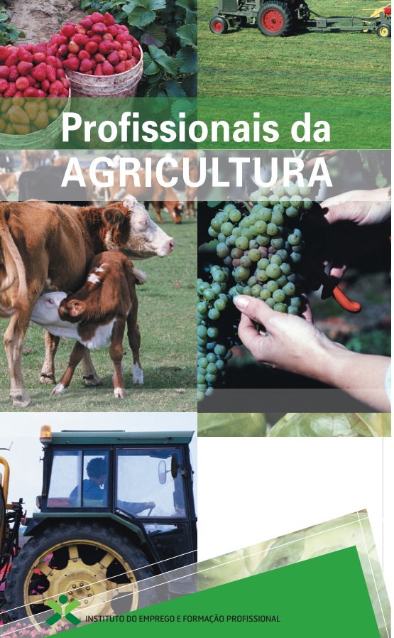 Imagem da publicação Profissionais da Agricultura