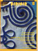 Dirigir nº 32