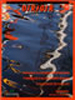 Dirigir nº 34