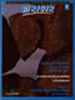 Dirigir nº 36