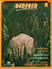 Dirigir nº 37