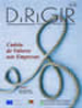 Dirigir nº 81 e 82