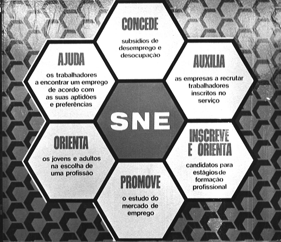 O Serviço Nacional de Emprego